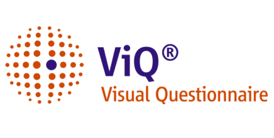 ViQ® - Stowasser Painhaupt Partner